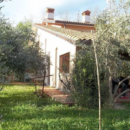 Múggia Villa Ambrosia المظهر الخارجي الصورة