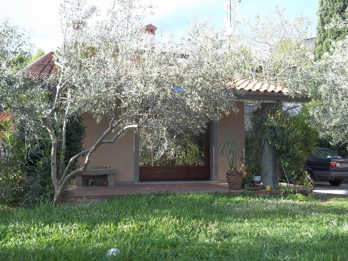Múggia Villa Ambrosia المظهر الخارجي الصورة